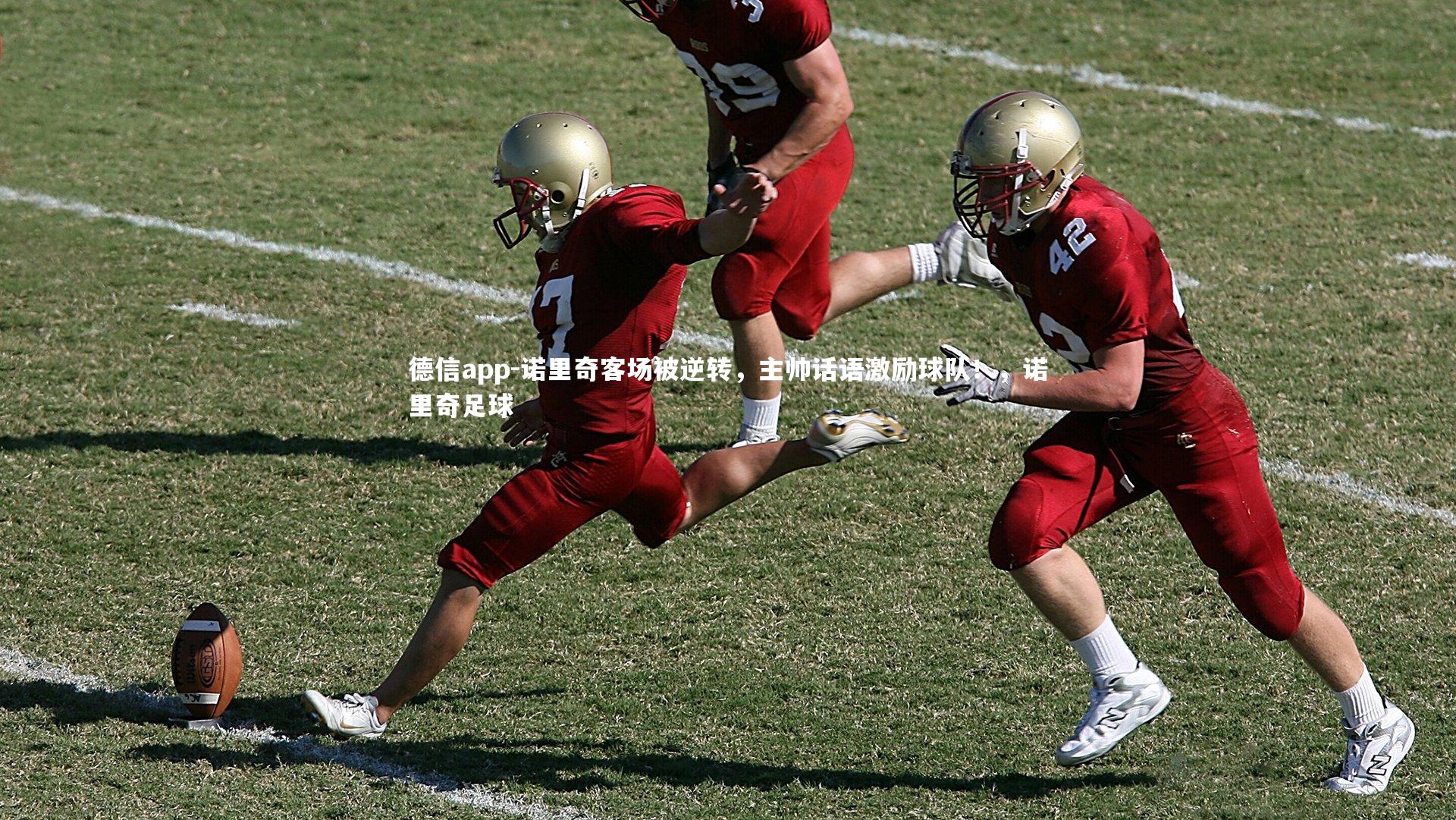 德信app-诺里奇客场被逆转，主帅话语激励球队！，诺里奇足球